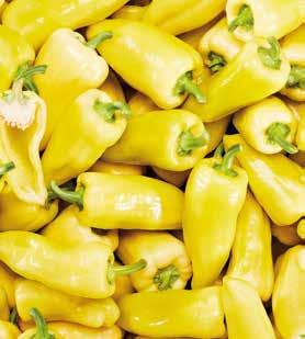 Friss, zamatos és magyar MAGYAR TERMÉK -18% 799 649 500 g, 1 kg = 1298 MAGYAR EPER   399 /kg
