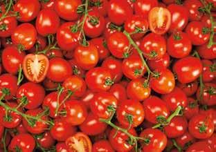 fokhagymás TERMÉK -20% 699 559 400 g, 1 kg