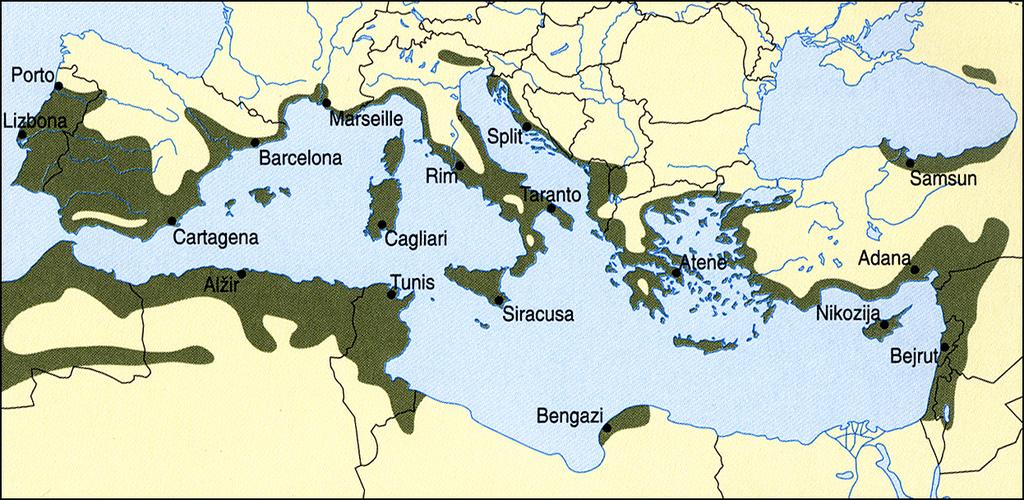 18 M072-501-2-1M C2 EVROPA / EURÓPA 28. Karta 4 prikazuje razširjenost kulturne rastline, ki uspeva le na območjih s sredozemskim podnebjem. Napišite ime te kulturne rastline. A 4. sz.