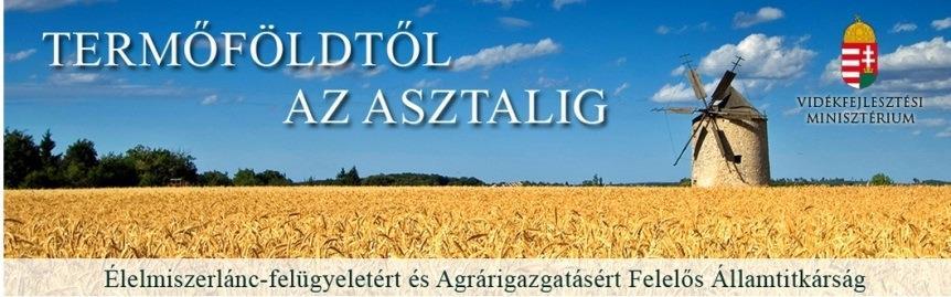 Köszönöm megtisztelő figyelmüket!