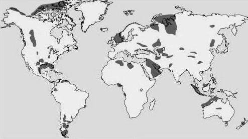 In Africa per ora non si osserva ancora un aumento consistente della popolazione delle metropoli. 3. All inizio del XXI secolo la popolazione urbana aumenta maggiormente nell America Latina.