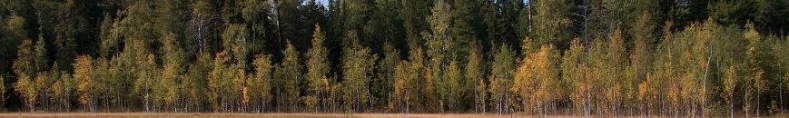 A zsombék domináns növényfajai: Sphagnum fuscum, Ledum palustre, Chamaedaphne calyculate, Vaccinium oxycoccos illetve Pinus sylvestris és Pinus sibirica.