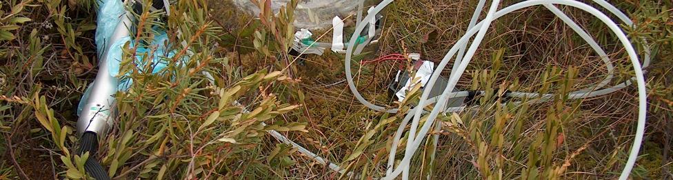vizsgálatokra kidolgozott kamrás mérések módszertanából indultunk ki (CZÓBEL ET AL.