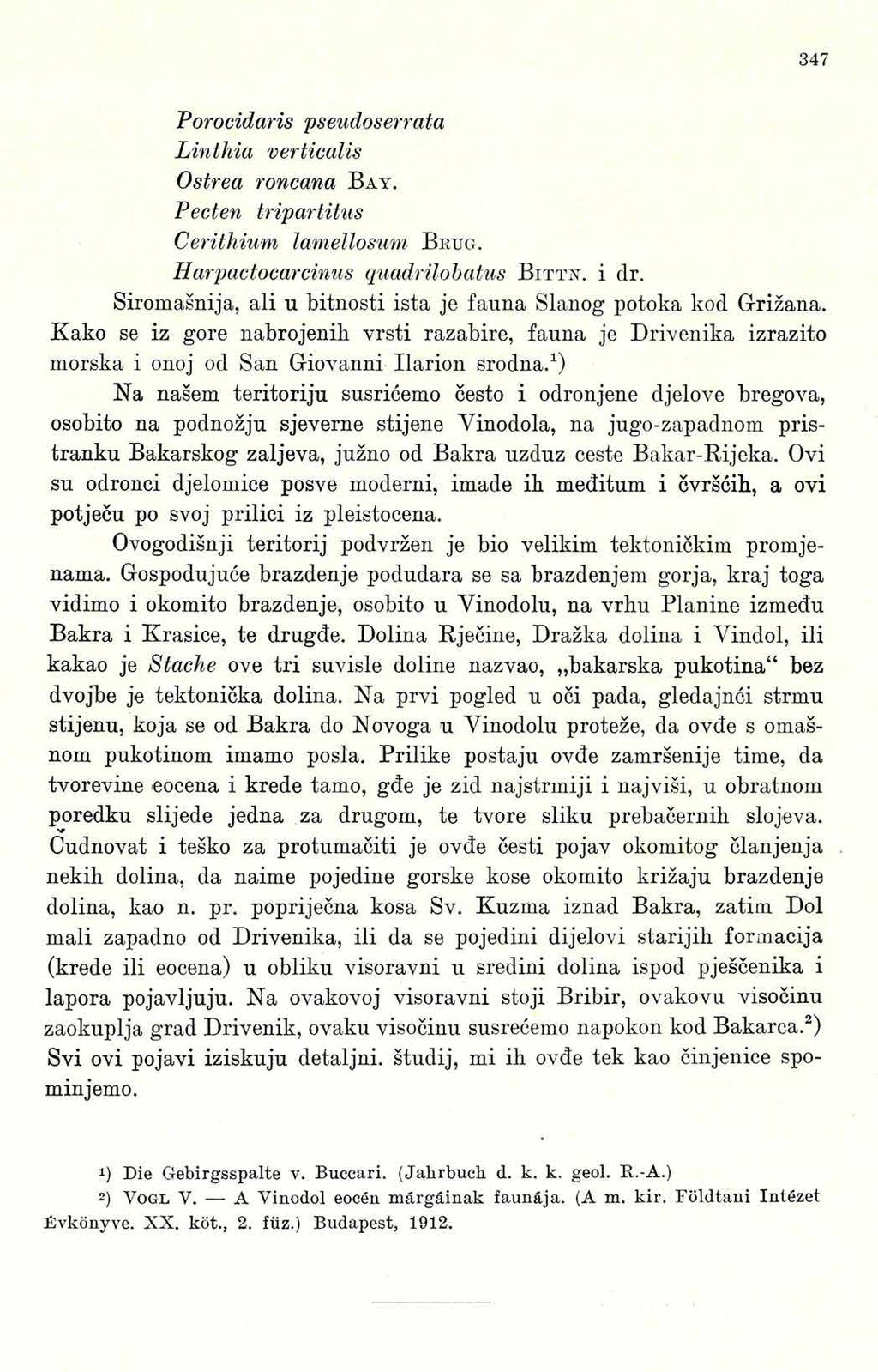 3 4 7 Porocidaris pseudoserra ta Linthia verticalis Ostrea roncana B a y. Pecten tripartitus Cerithium lamellosum B ru g. Harpactocarcinus quadrilobatus B i t t x. i dr.