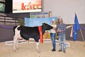 a fajta elitjét képviselték. A bírálatot Sebők Tamás területi igazgató, nemzetközi show-bíró végezte. Holstein-fríz szűz üsző I.