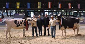 EGYESÜLETI ÉLET A Holstein-fríz Tenyésztők Egyesülete