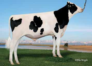 AltaLAWSON AltaROBSON X DELTA X SUPERSIRE