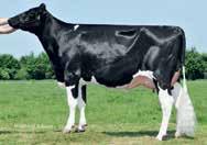 TPI PTAT UDC FLC PL SCS DPR NM Milk kg Fat % Fat kg Prot. % Prot. kg Rel. 2803 2.05 2.11 1.