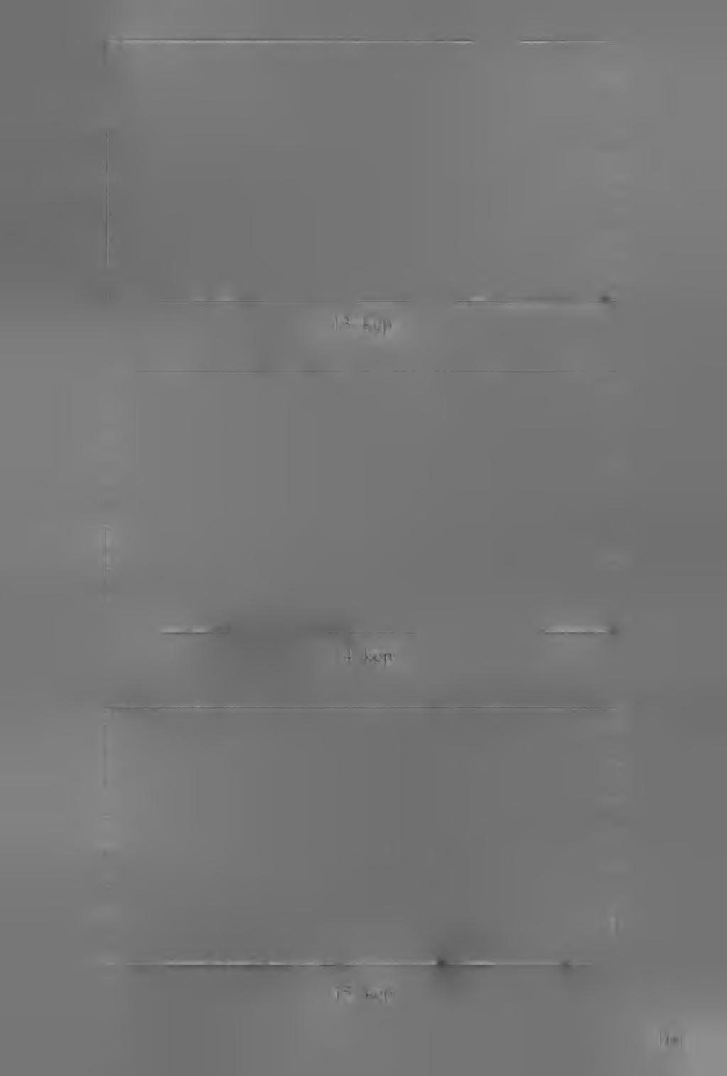 13. kép