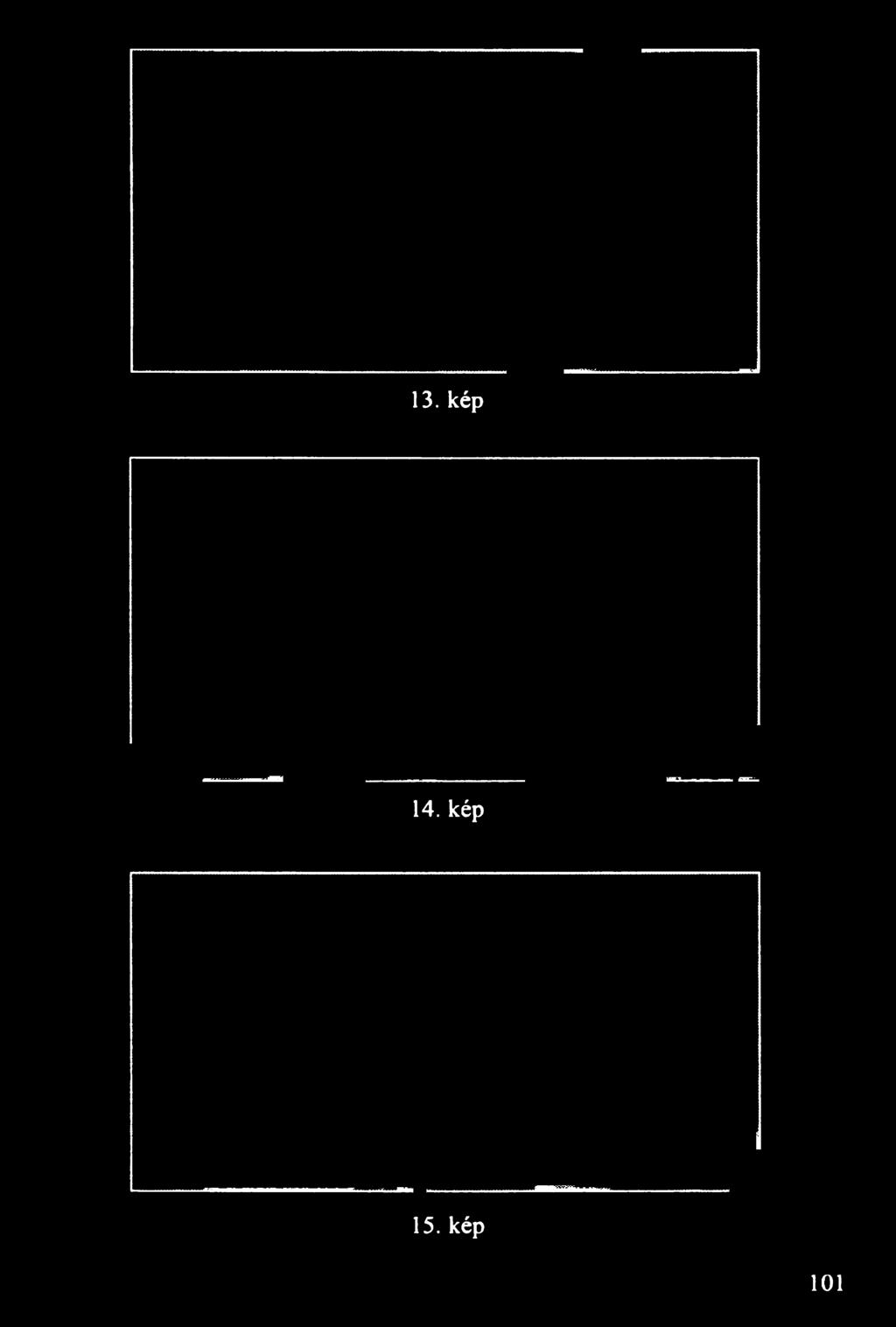 15. kép