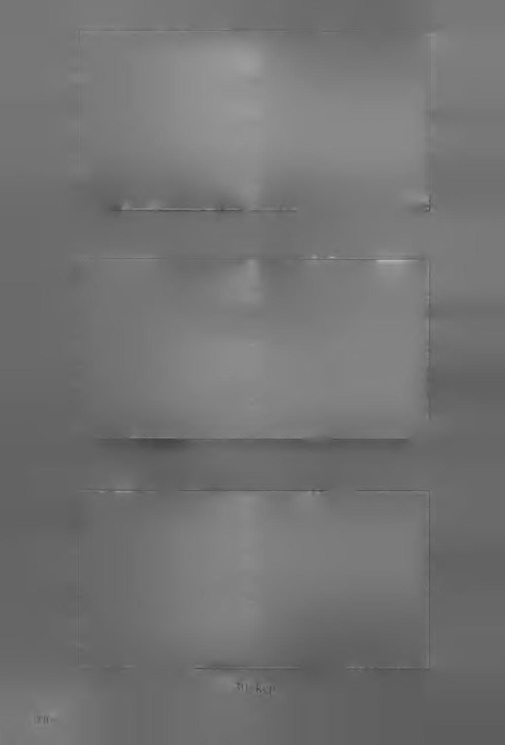 106 30.