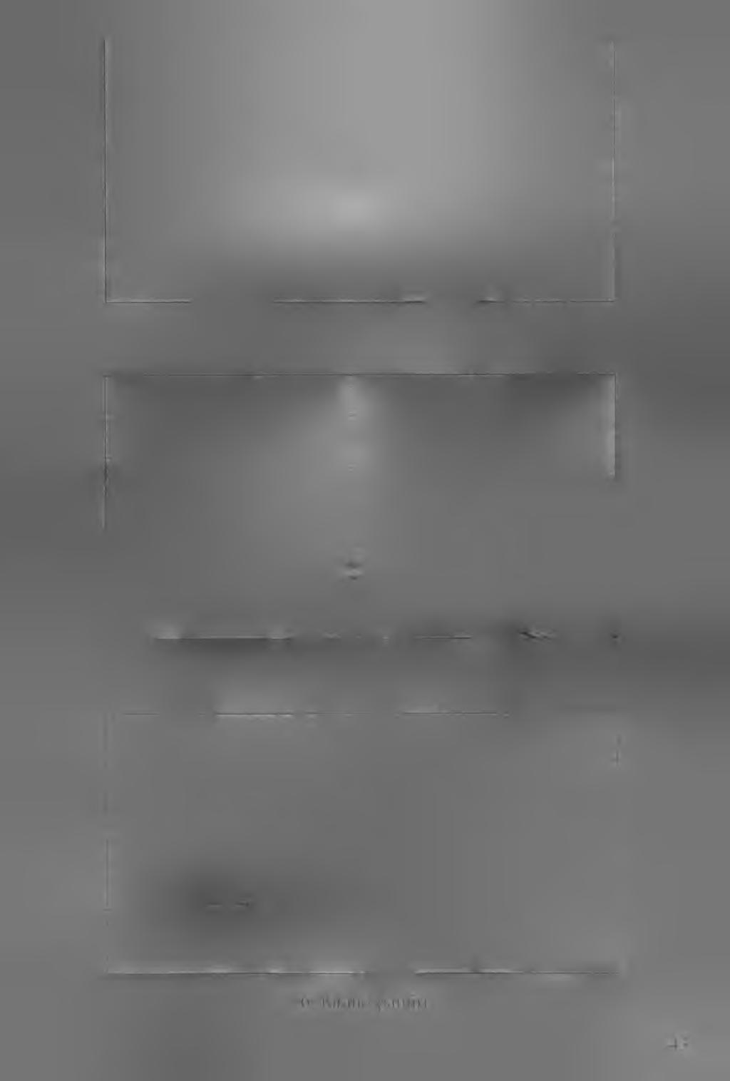 6.