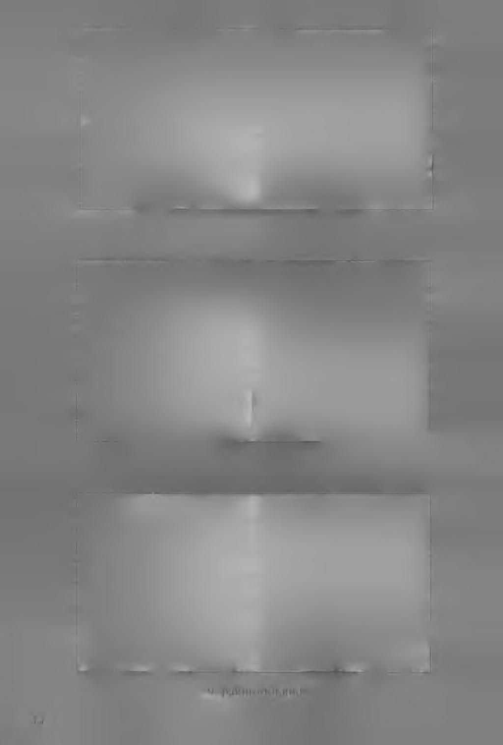 44 9.