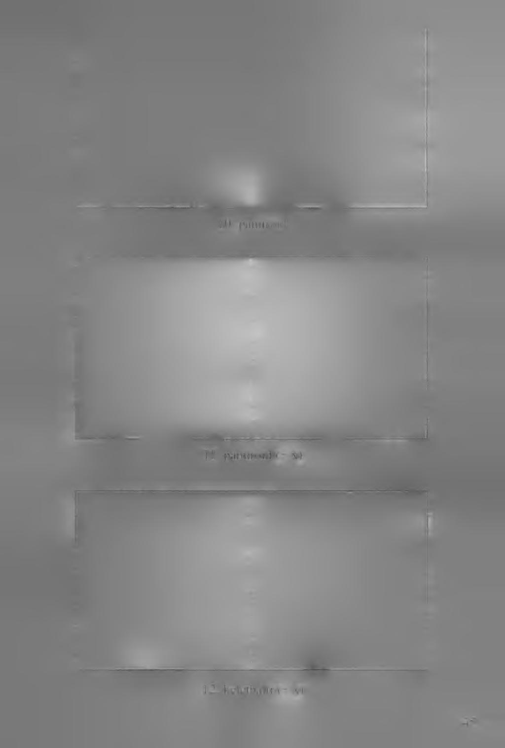 10. pamiroid 11.