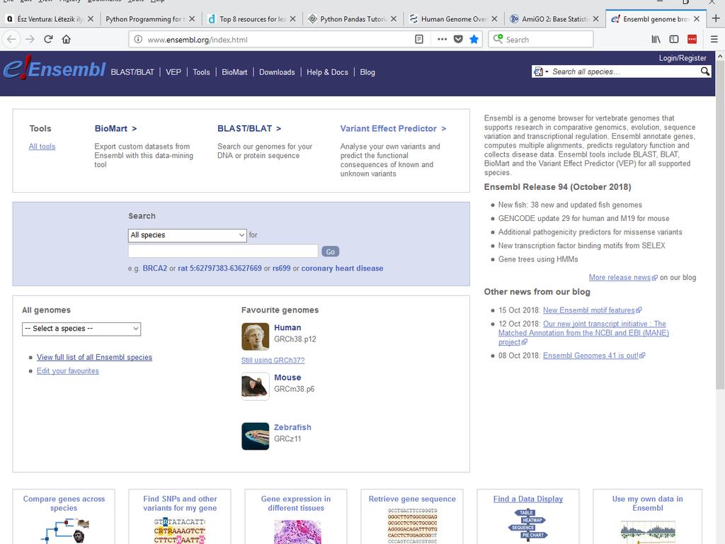 Bioinformatika és