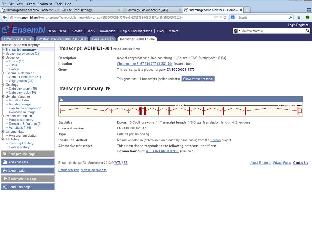 Bioinformatika és