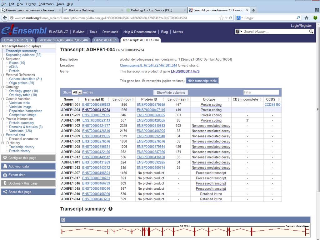 Bioinformatika és