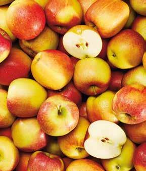 -24% 499 Ft MAGYAR TERMÉK 2 kg -20% 498 Ft POMELO 379Ft PIROS ALMA 1 kg = 199 Ft