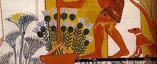 fertőzésre utaló jelek: ókori Egyiptomban 1800-as