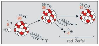 2. Aktinidák A reaktorban száguldozó neutronok bizonyos valószínűséggel befogódhatnak egy atommagba, aminek éppen nekiütköznek.