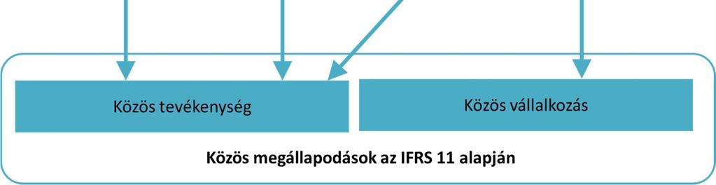 gazdasági tartalmát (IAS 31).