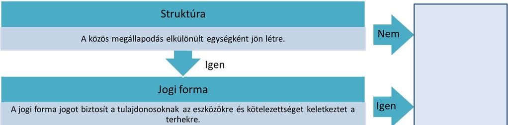 jogokkal rendelkeznek és felelősséget vállalnak a fennálló kötelezettségekre a megállapodásban rögzítettek szerint (IFRS 11, 15. bekezdés).