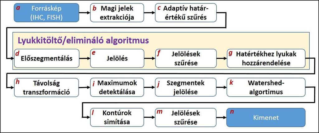 3.3.2. Megbízhatóan reprodukálható magdetektáló algoritmus fejleszt