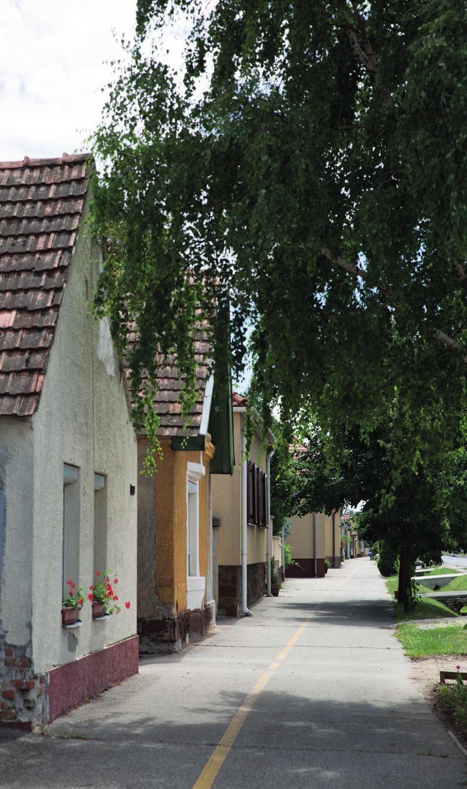 A faluképet a hagyományos parasztházak mellett többféle típusház alkotja.