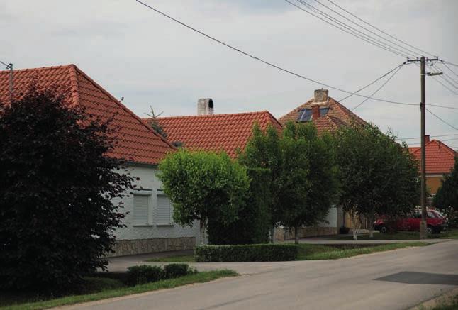 71 Ajánlott kétoldali fasor telepítése, hosszútávra tervezhető őshonos, magyar (nem tájidegen) fajtákból.