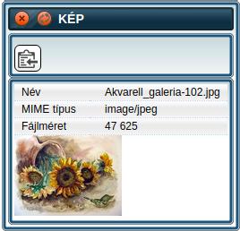 Csak jpg, png vagy gif formátumú fájlok tölthetők fel, a maximális fájlméret 5MB.