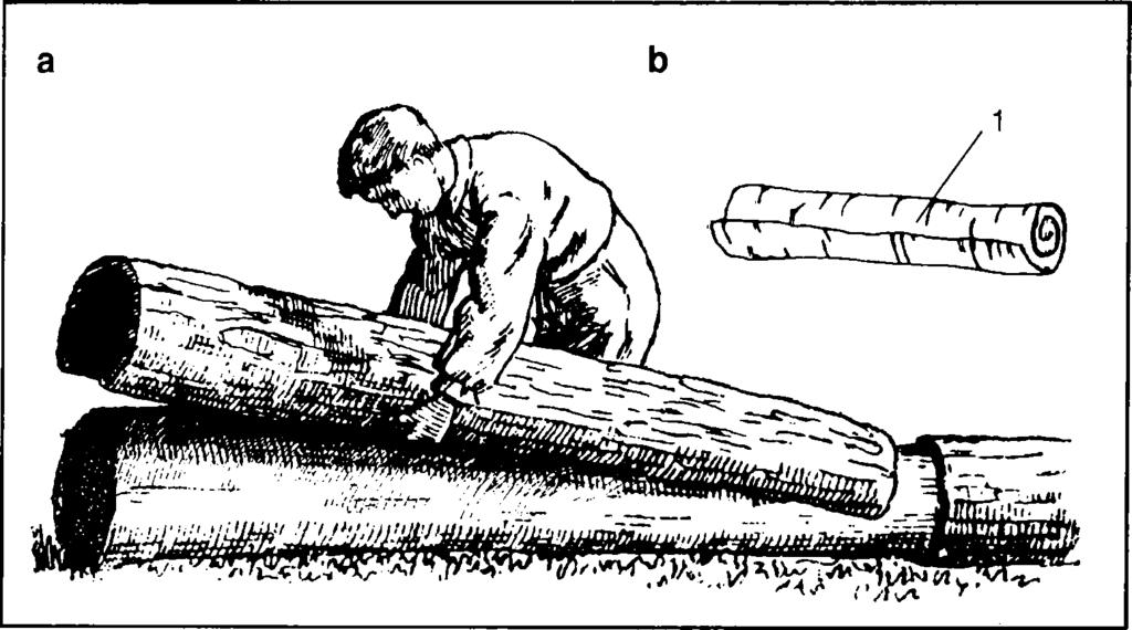 356. ábra. Csikó. Csitkó Kápolnásfaluban (K) és Gyergyócsomafalván (Gy» Kovács F., 1934. 138.) 1. heveder (Gy), 2. ágas (Gy), 3. alap (Gy), 4. gerenda (Gy), 5. fedél (Gy), 6. sutu (K). CSÖVES KÉREG.