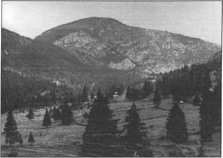 338. ábra. Erdei tisztás. (Gál István felvétele). 2. havasi mező. /. Rákóczi G yörgy 1954/ 1643: Havasi mezeo valtsagot az gyergyaiaktul [...] (619.) Görgény. 3. plájf paláj (Árvay J., 1943. 73.
