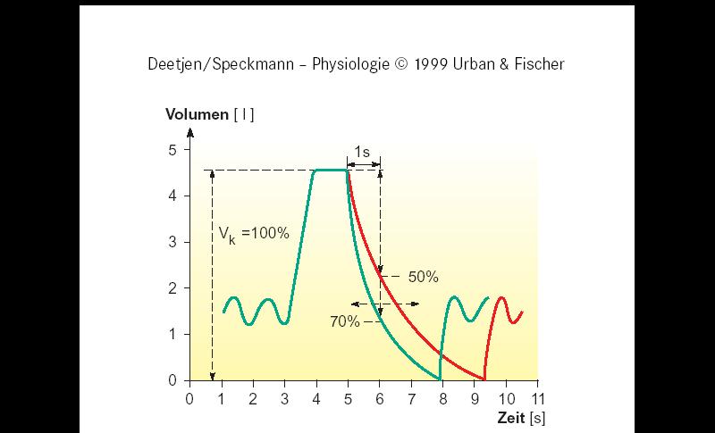 Spirogram: dinamikus komponensek teljes tüdőkapacitás belégzési rezerv légzési térfogat vitálkapacitás kilégzési rezerv funkcionális reziduális térfogat