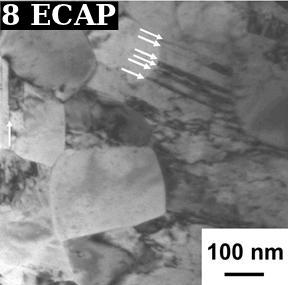 ECAP 16 ECAP 60 µm 20 µm