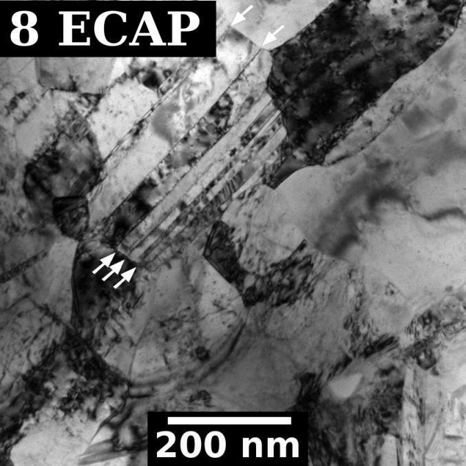 ECAP 16 ECAP 60 µm 20 µm