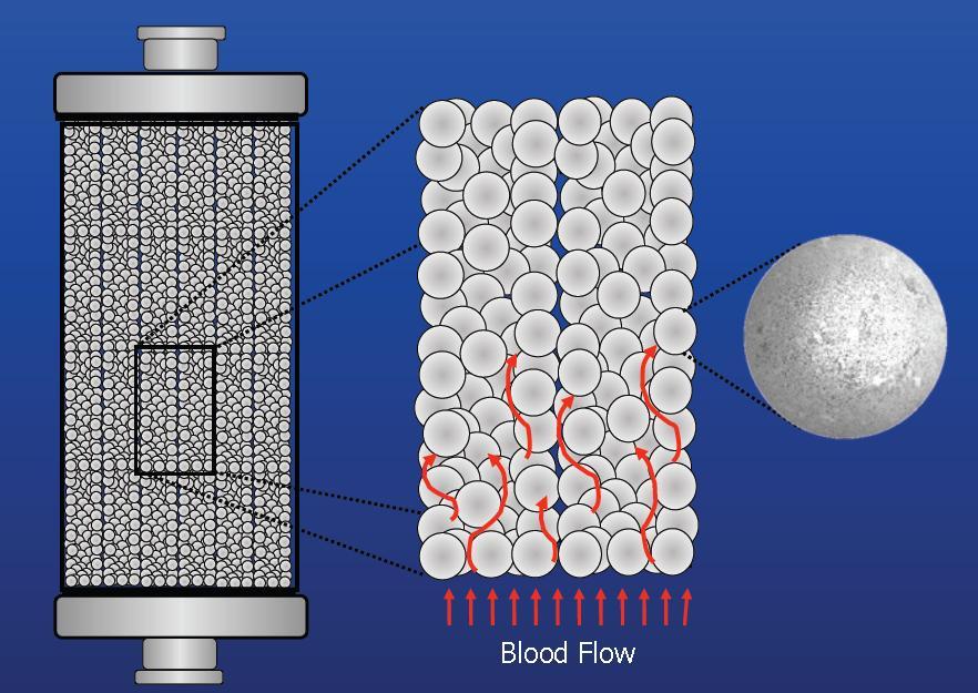 CytoSorb