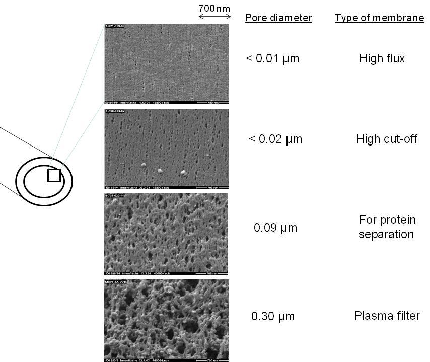 HCOM Bello et al. Minerva Medicina 2012 Vol.78-No.
