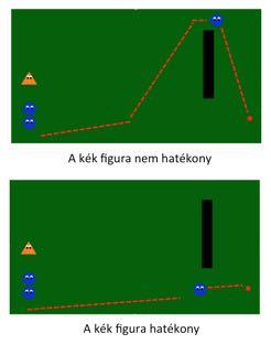 24 olyan kutatást terveztünk, amelyben 11 hónapos babák vettek reszt.