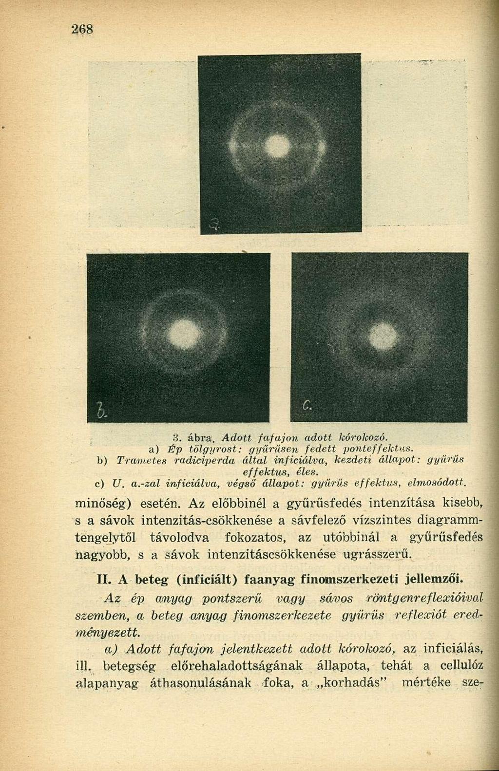 3. ábra. Adott fafajon adott kórokozó. a) Ép tölgyrost: gyűrűsen fedett ponteffektus. b) Trametes radiciperda által inficiálva, kezdeti állapot: gyűrűs effektus, éles. c) U. a.-zal inficiálva, végső állapot: gyűrűs effektus, elmosódott.