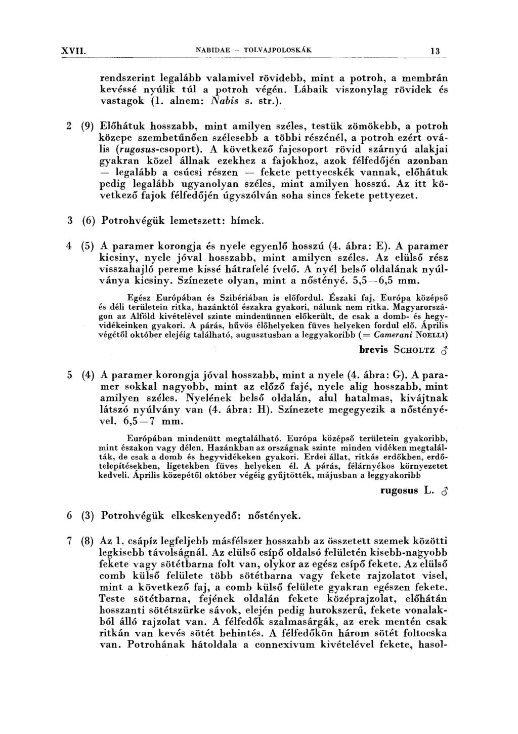 XVII. NABIDAE - TOLVAJPOLOSKÁK 13 rendszerint legalább valamivel rövidebb, mint a potroh, a membrán kevéssé nyúlik túl a potroh végén. Lábaik viszonylag rövidek és vastagok (l. alnem: Nabis s. str.).