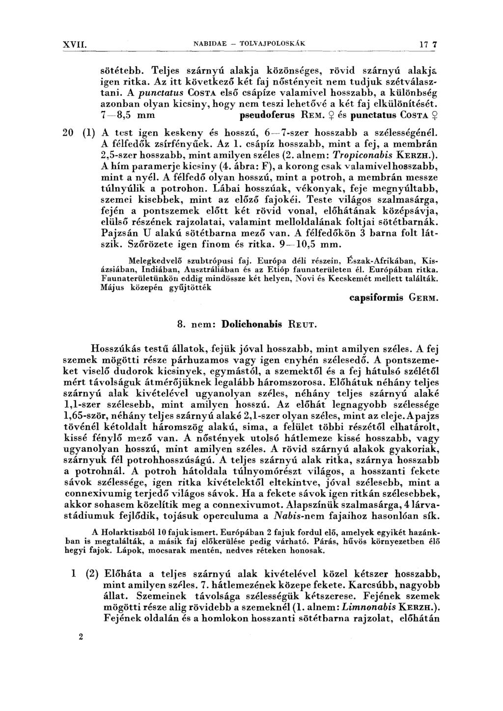 XVII. NABIDAE - TOLVAJPOLOSKAK 17 7 sötétebb. Teljes szárnyú alakja közönséges, rövid szárnyú alakja igen ritka. Az itt következő két faj nőstényeit nem tudjuk szétválasztani.