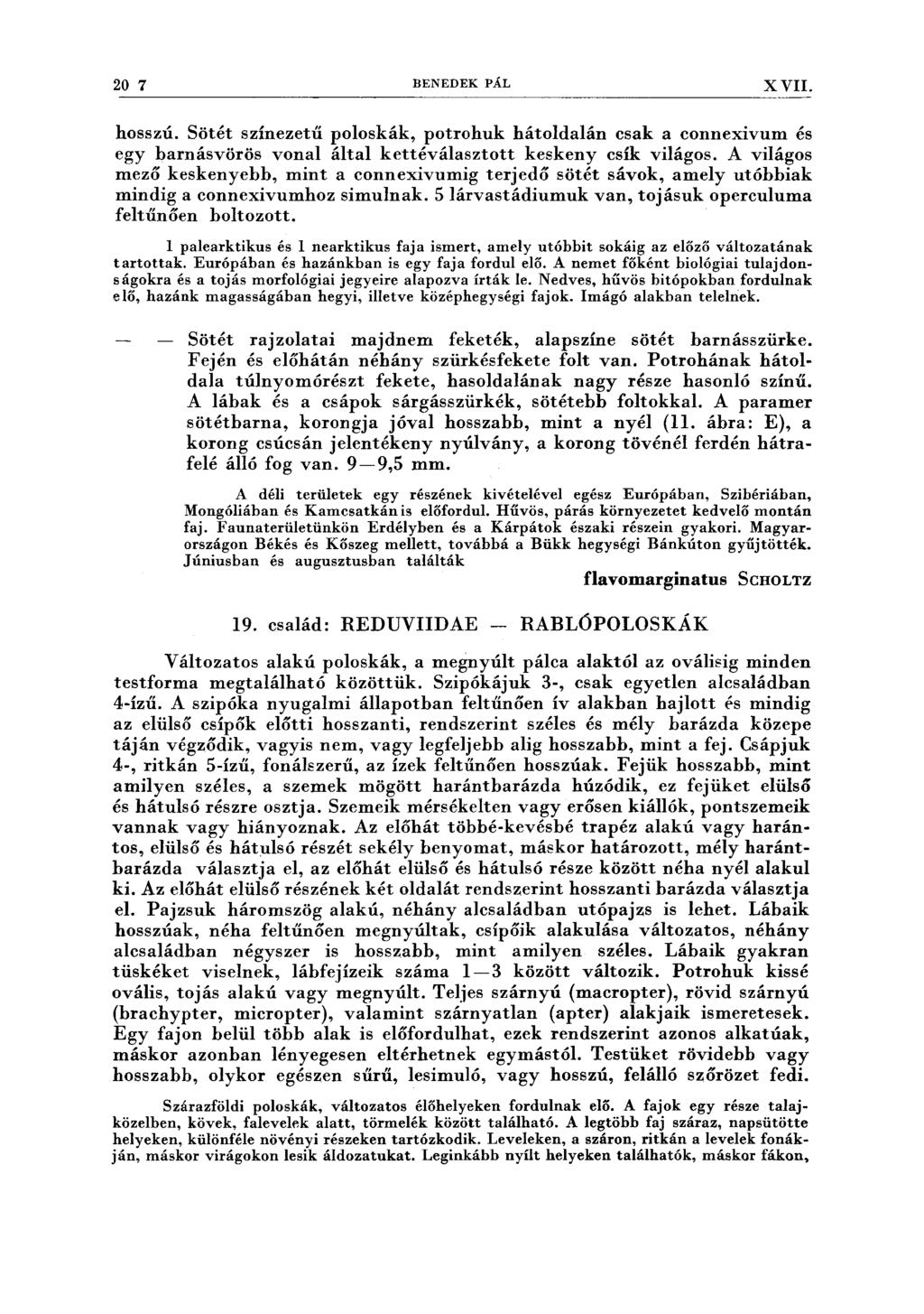 20 7 BENEDEK PÁL XVII. -------------------------------------------------------------------- hosszú.
