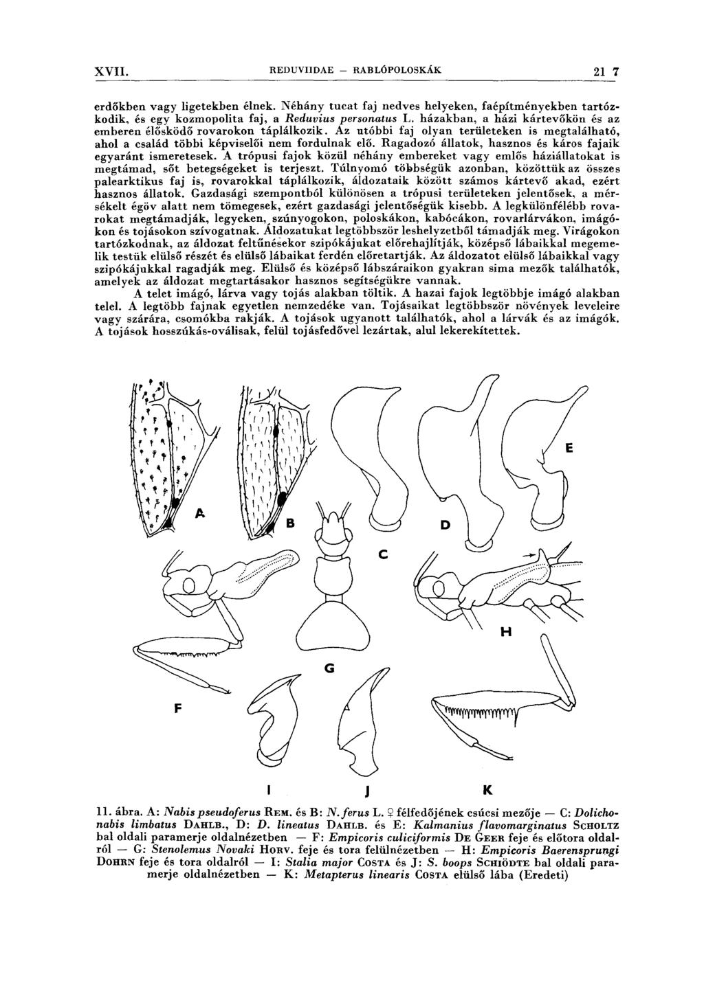 XVII. REDUVIIDAE - RABLÓPOLOSKÁK 21 7 --------------------------------------------------------------------- erdőkben vagy ligetekben élnek.