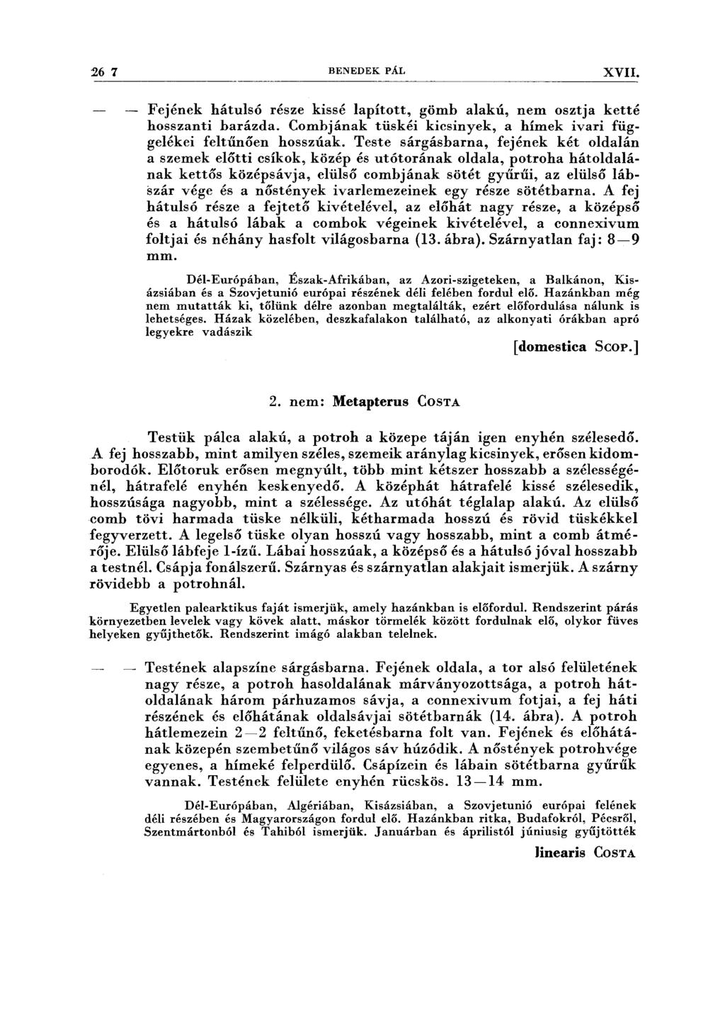 26 7 BENEDEK PÁL XVII. Fejének hátulsó része kissé lapított, gömb alakú, nem osztja ketté hosszanti barázda. Combjának tüskéi kicsinyek, a hímek ivari függelékei feltűnően hosszúak.