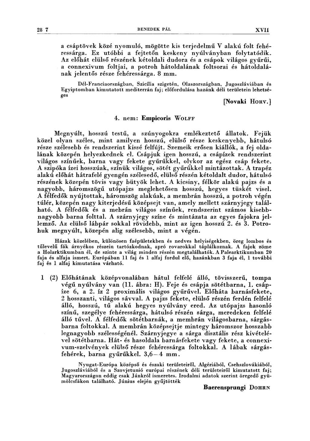 28 7 BENEDEK PÁL XVII a csáptövek közé nyomuló, mögötte kis terjedelmű V alakú folt fehéressárga. Ez utóbbi a fejtetőn keskeny nyúlványban folytatódik.