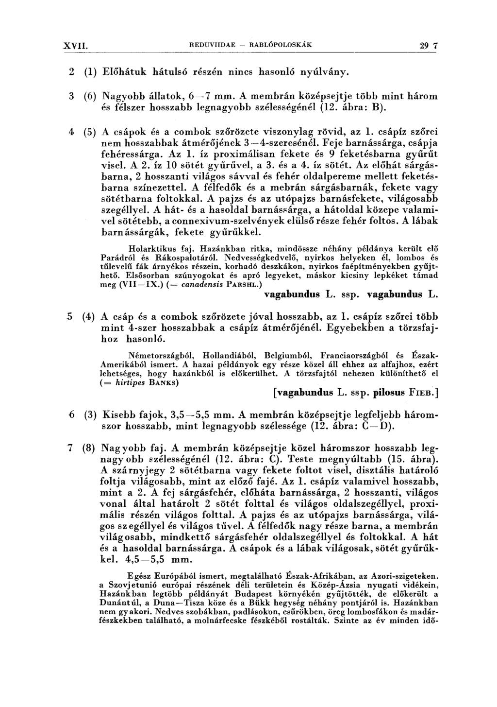 XVII. REDUVIIDAE - RABLÓPOLOSKÁK 29 7 2 (l) Előhátuk hátulsó részén nincs hasonló nyúlvány. 3 (6) Nagyobb állatok, 6-7 mm.