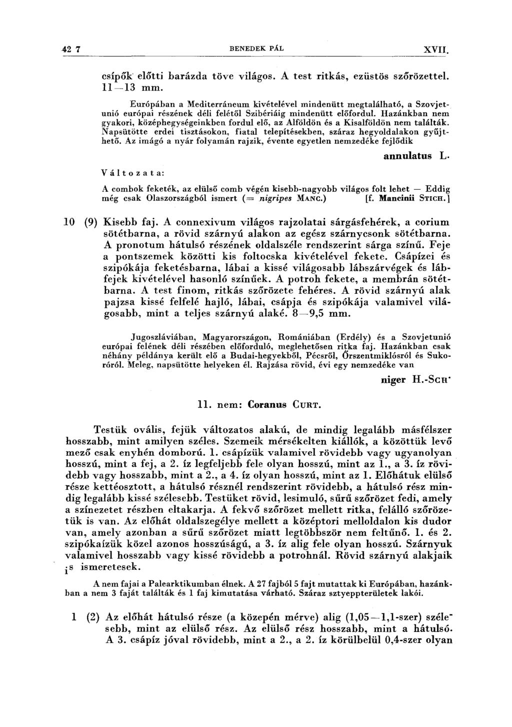 42 7 BENEDEK PÁL XVII. csípők előtti 11-13 mm. barázda töve világos. A test ritkás, ezüstös szőrözettel.