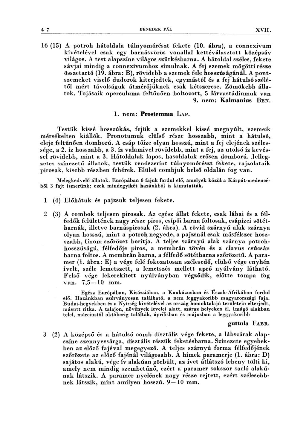 4 7 BENEDEK PÁL XVII. 16 (15) A potroh hátoldala túlnyomórészt fekete (10. ábra), a connexivum kivételével csak egy barnásvörös vonallal kettéválasztott középsáv világos.