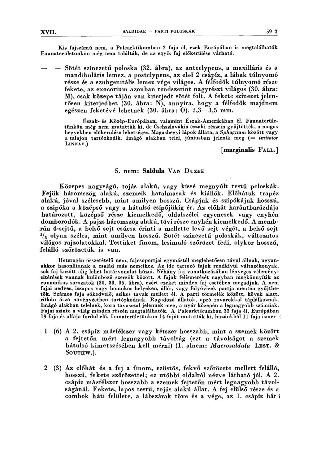 XVII. SALDIDAE - PARTI POLOSKÁK 59 7 Kis fajszámú nem, a Palearktikumban 2 faja él, ezek Európában is megtalálhatók Faunaterületünkön még nem találták, de az egyik faj előkerülése várható.