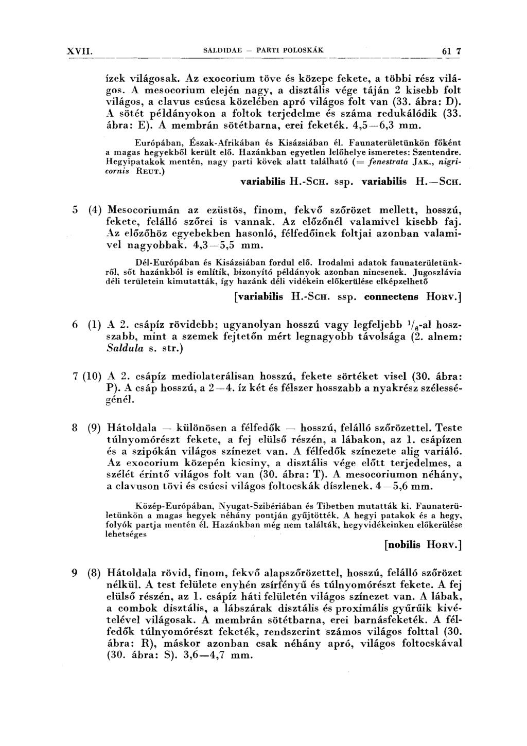 -----~~-------~--- -~ XVII. SALDIDAE - PARTI POLOSK.ÁK 61 7 ízek világosak. Az exocorium töve és közepe fekete, a többi rész világos.